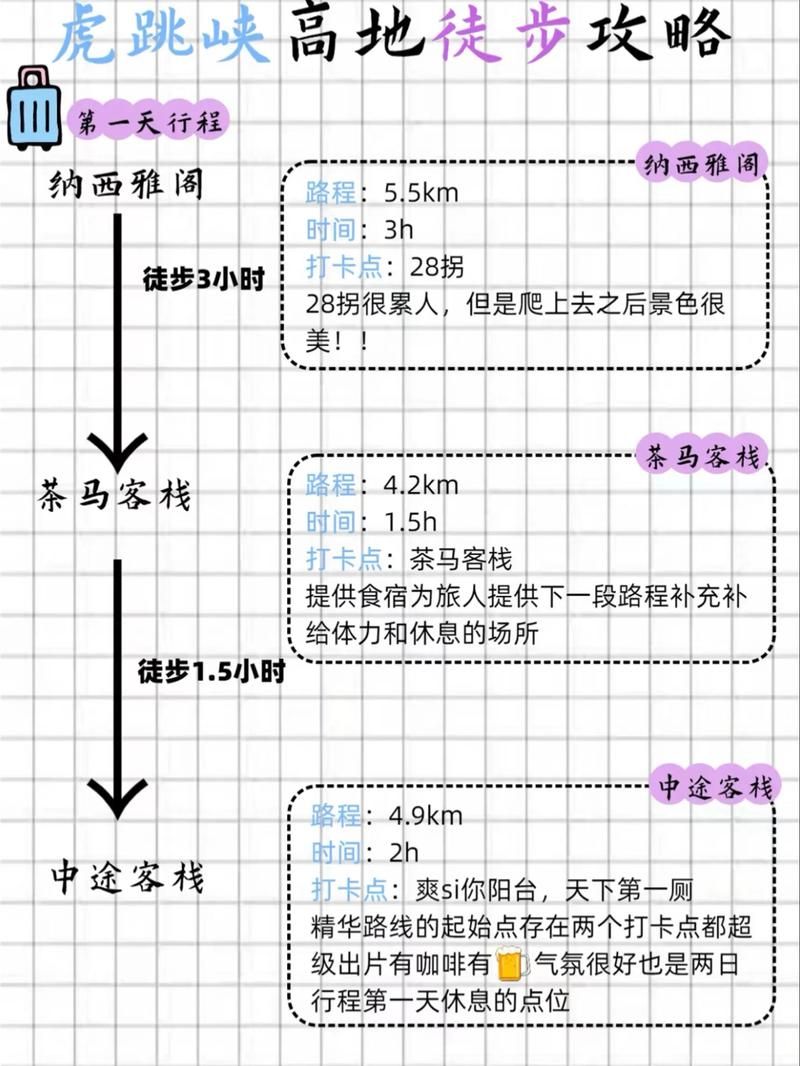 高等社会游戏攻略高效玩法?省时省力通关秘诀揭秘 高等社会游戏攻略高效玩法?省时省力通关秘诀揭秘
