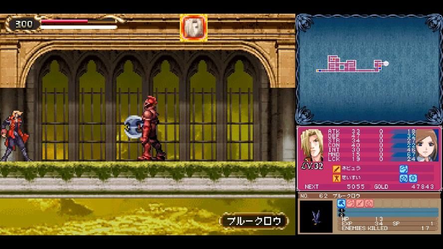 魔女的迷宫更新地址哪里查？（推荐这几个靠谱平台！）