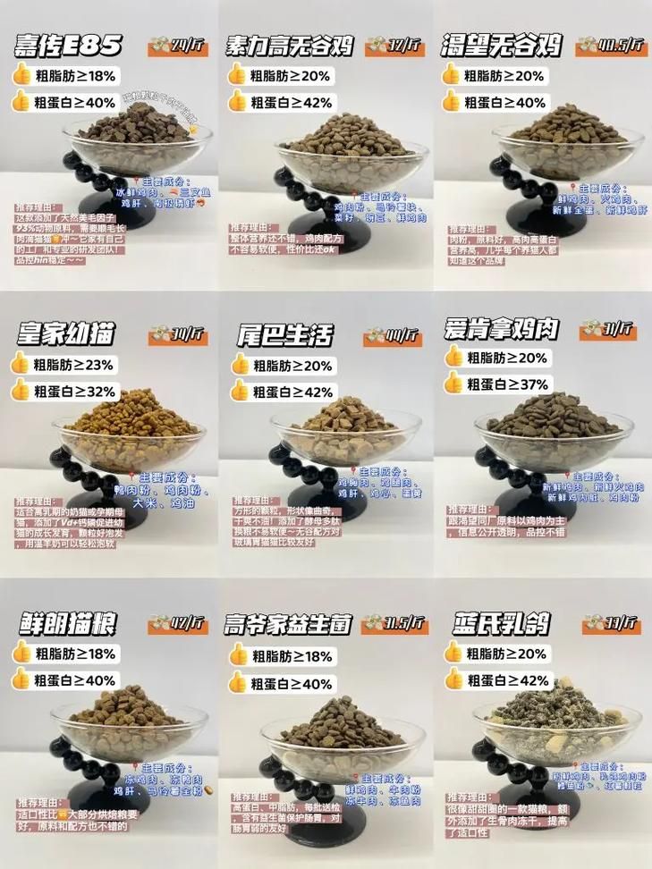 魔女秘药更新地址可靠来源推荐？(避坑指南对比平台)