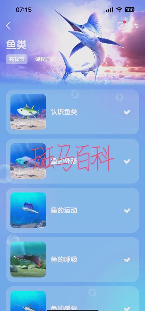 鱼筱最新版本是多少？新版隐藏功能实测大揭秘