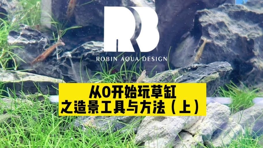 黄毛漂流记官方网站怎么玩？(新手快速入门技巧大全)