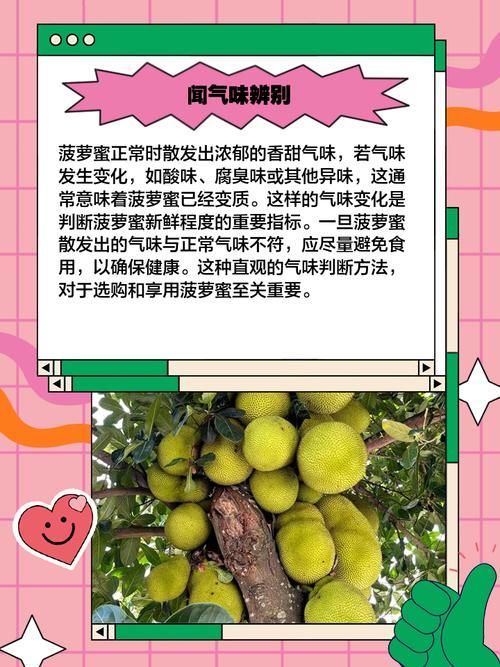 黄毛漂流记版本大全怎么选？避坑指南教你快速挑选好版本！