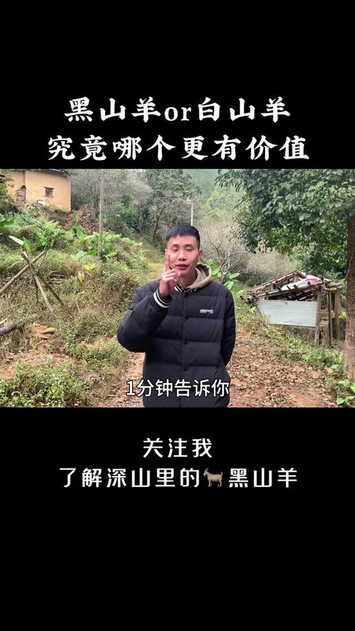 黑山羊之夜手机怎么下载？实测三步骤轻松安装！