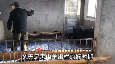 黑山羊之夜最新怎么玩？(新手快速入门指南分享)